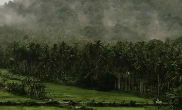 Village Tourism: Experience Rural North Kerala